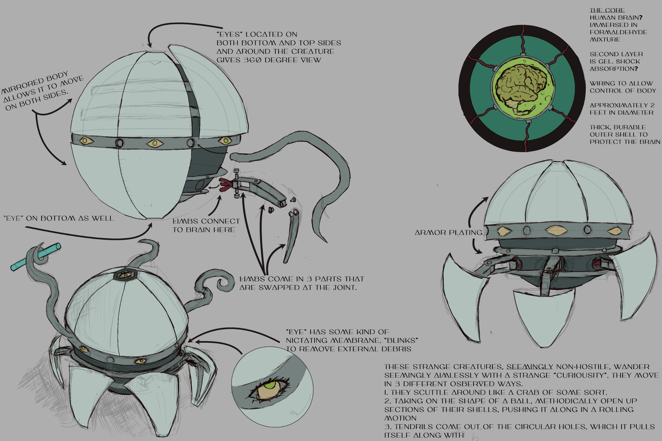 Commission sheet Commission sheet